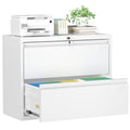White 2 Drawer Metal File Cabinet with Lock W881