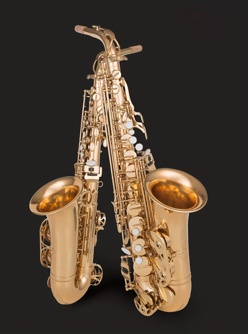 E flat Alto Saxophone with Belt Box, Whistle, Cleaning Suit T1884