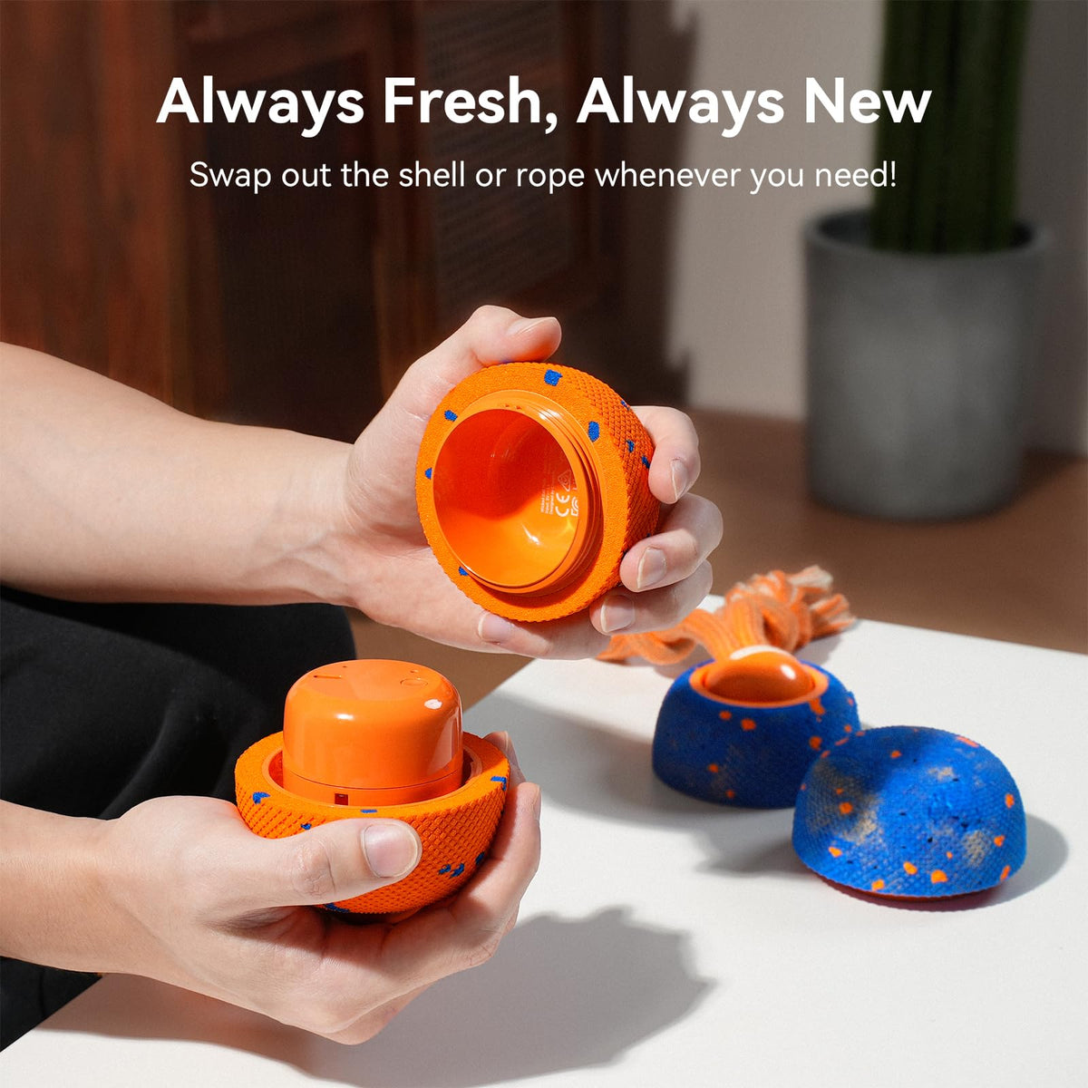 Interactive Dog Ball B586