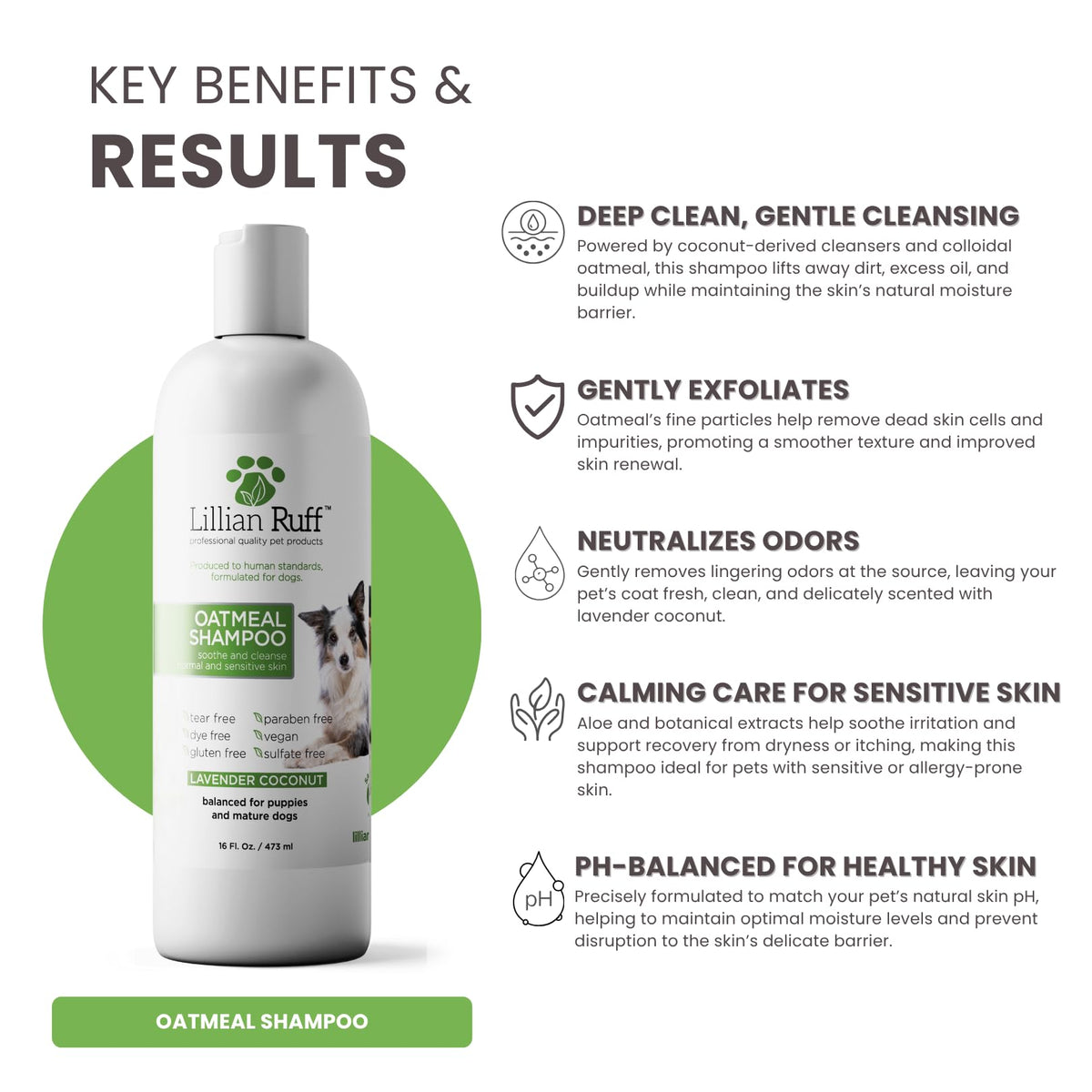 Oatmeal Dog Shampoo 16oz L659080