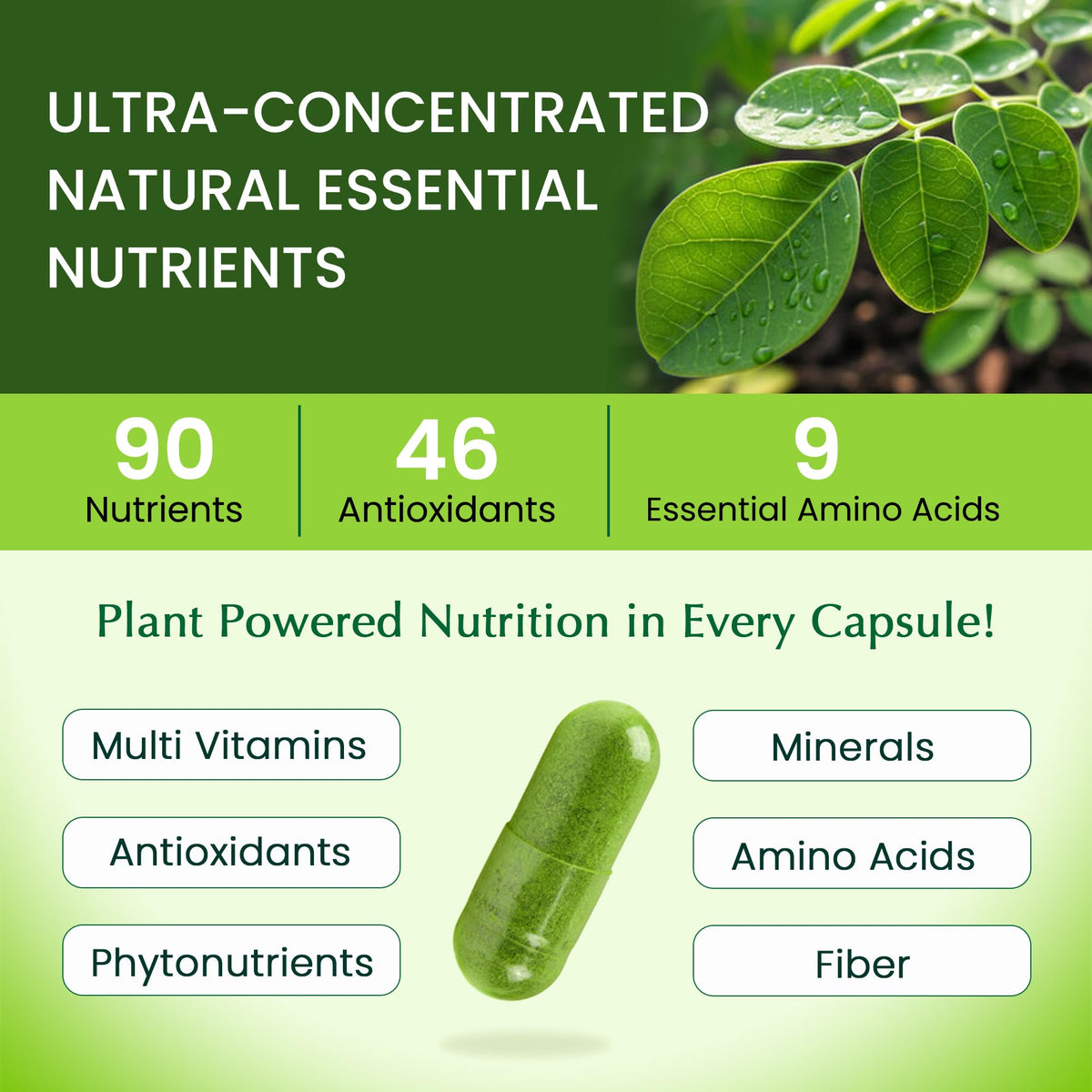 1000mg Organic Moringa Capsule 120 Vegan Capsule B179796