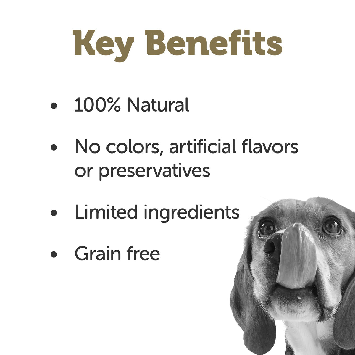 Chicken Bone Broth Dog Food Topper 6-Pack 7.1oz Pouch K60280