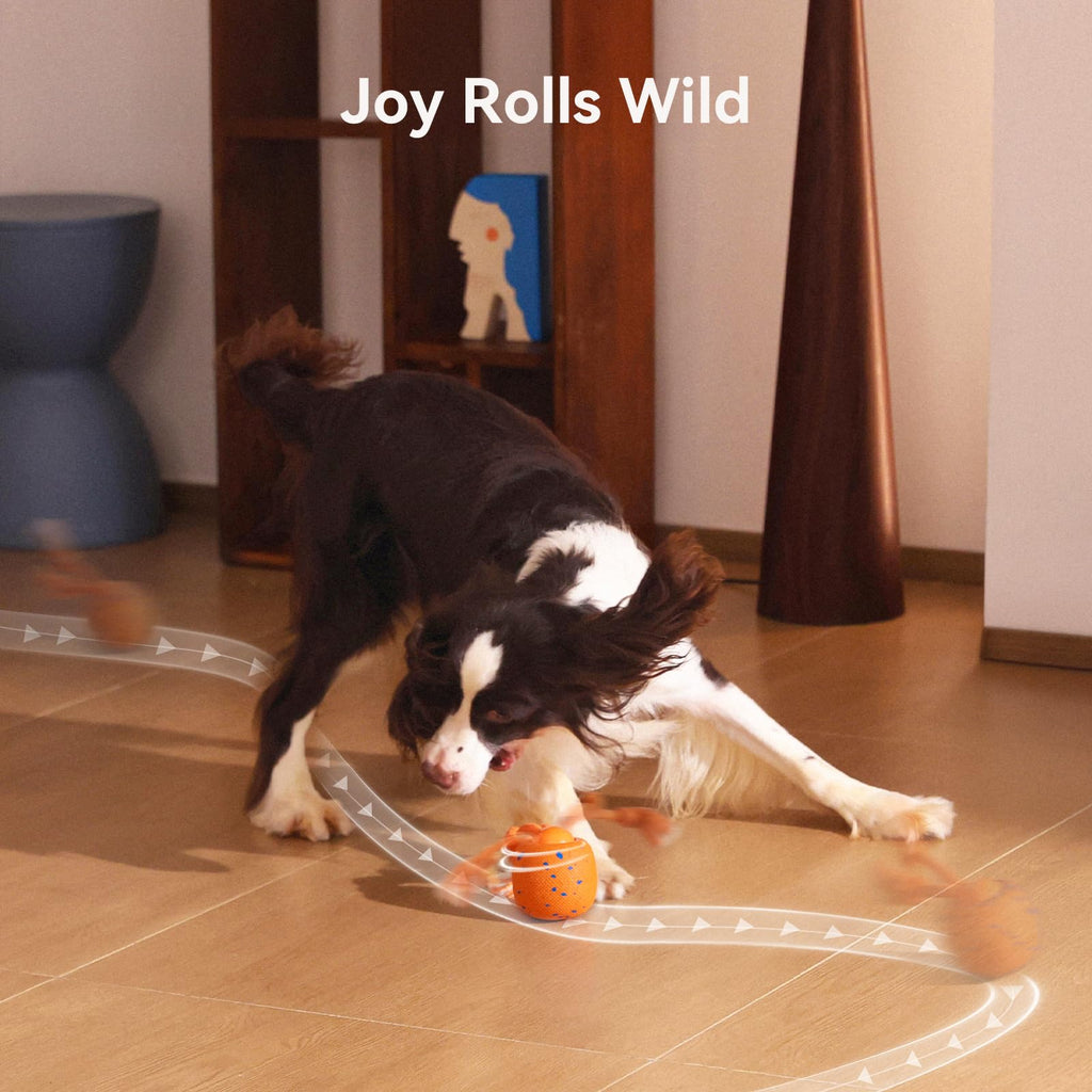 Interactive Dog Ball B586