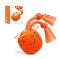 Interactive Dog Ball B586