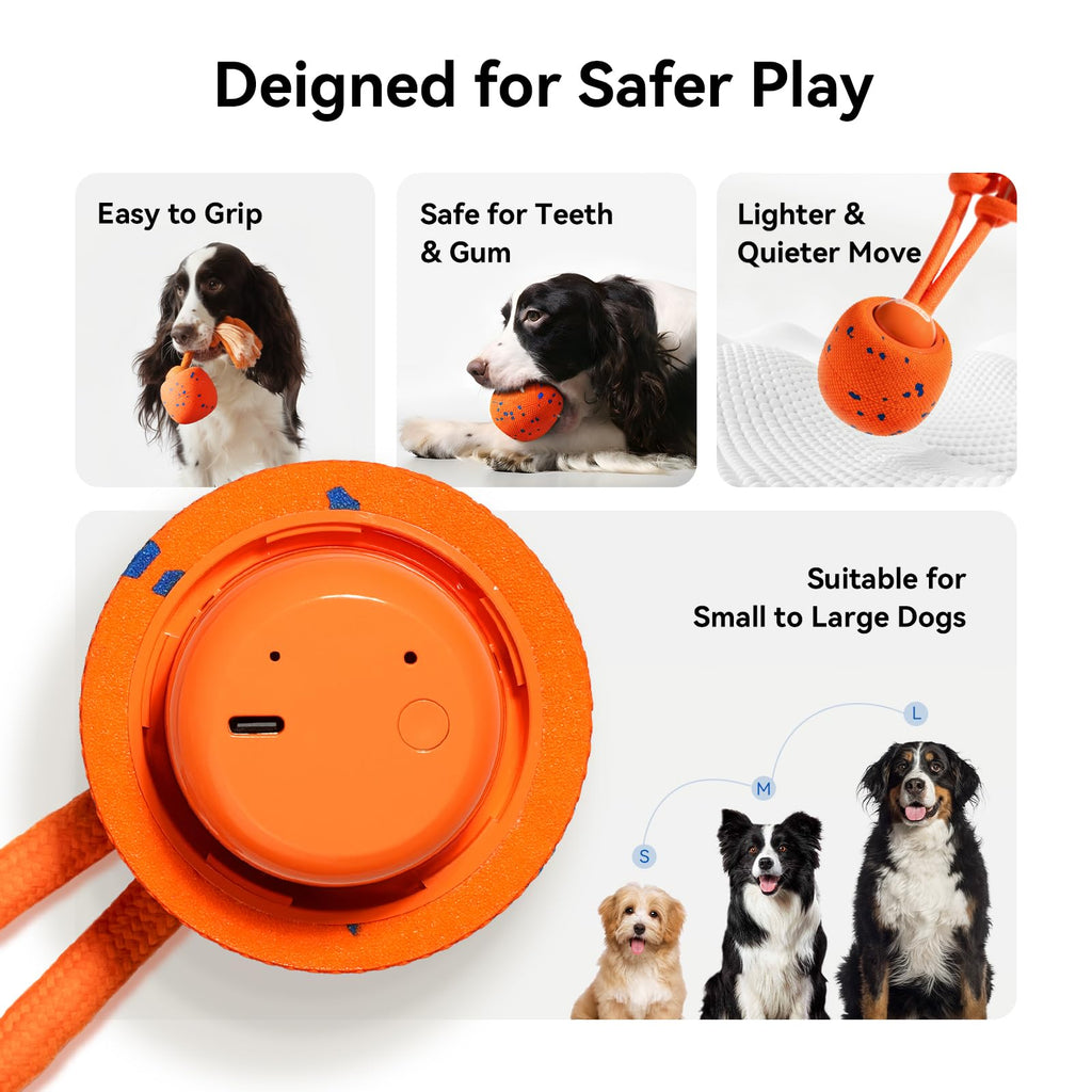 Interactive Dog Ball B586