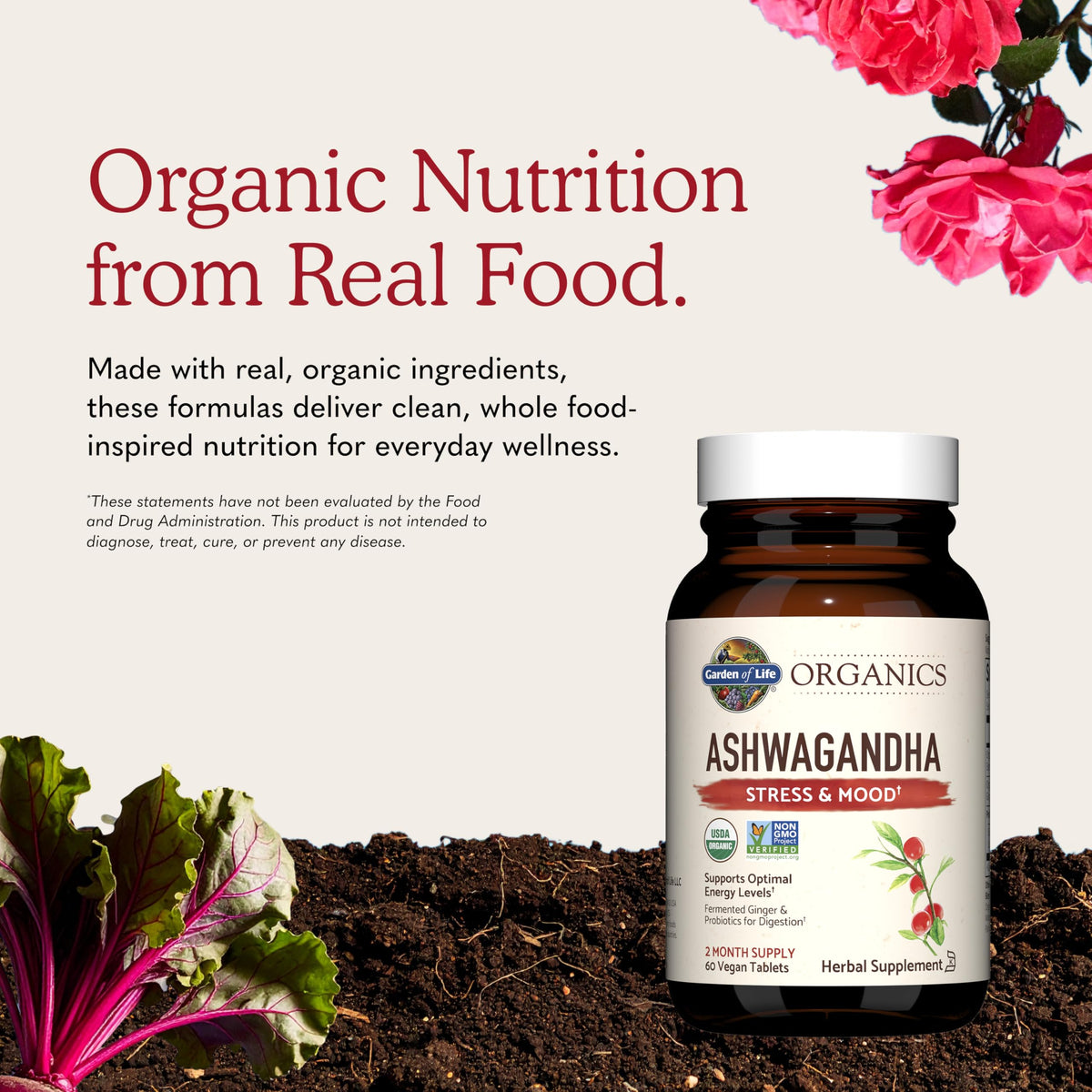 Organic Ashwagandha with Probiotics & Ginger O2040