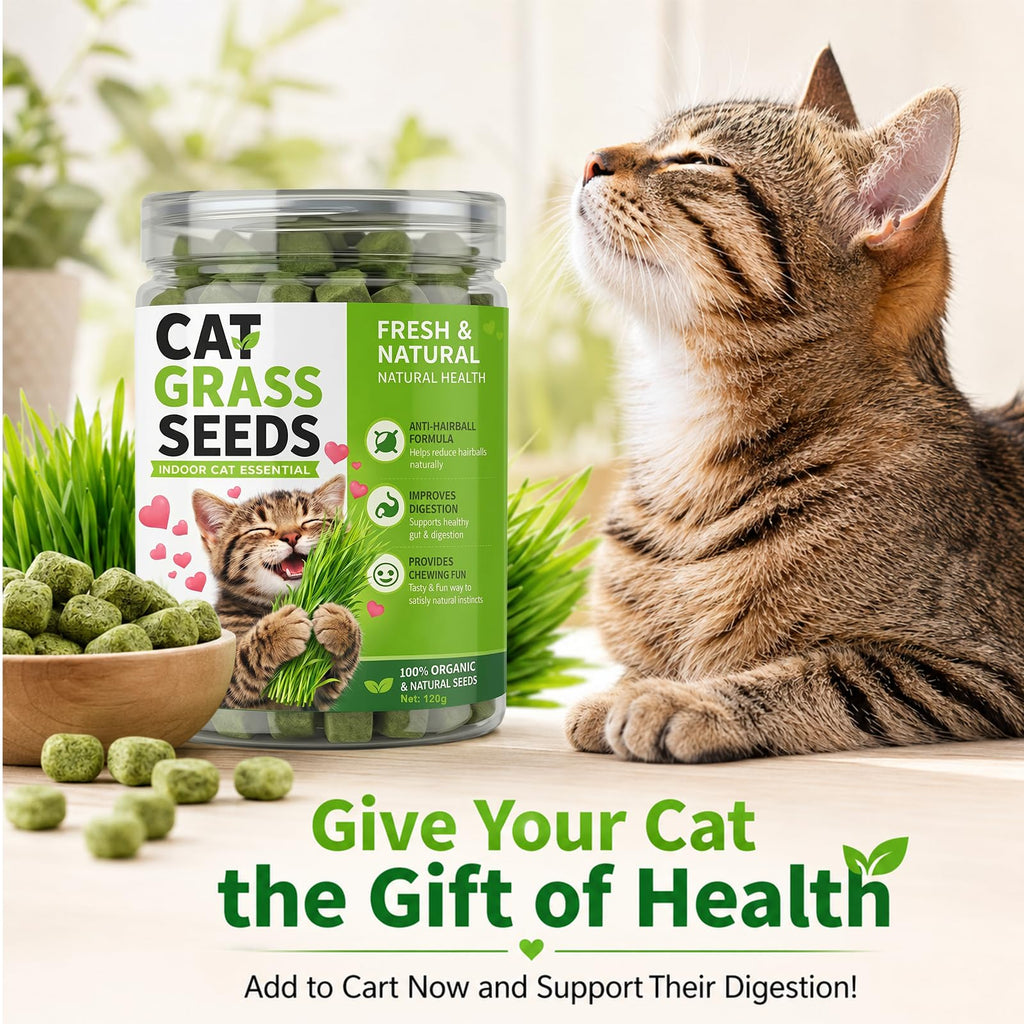 Cat Grass for Indoor Cats W1384
