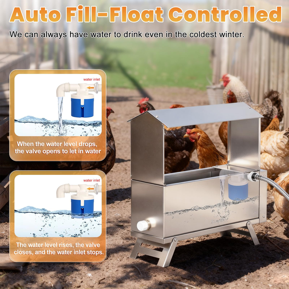 Heated 2 Gallon Stainless Steel Chicken Waterer X61165