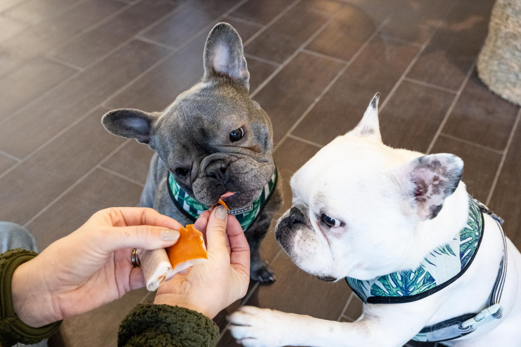 Pill Wrapper for Dogs & Cats, 30 Count U7680