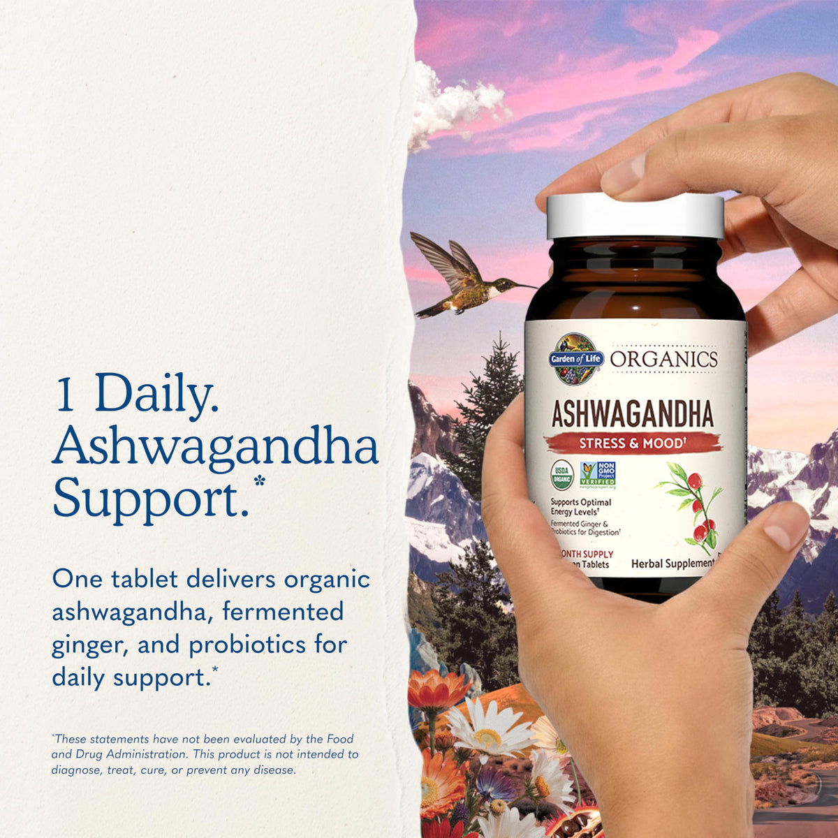 Organic Ashwagandha with Probiotics & Ginger O2040