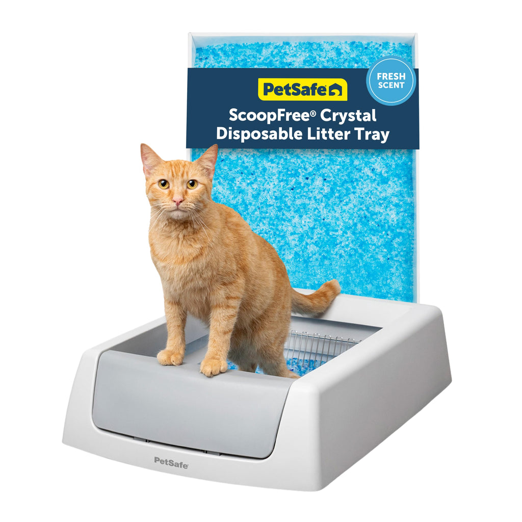 Self-Cleaning Litter Box Z6060