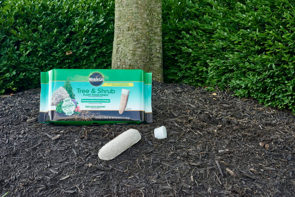 Tree & Shrub Plant Food Spikes 12 Spikes 2-Pack Q697