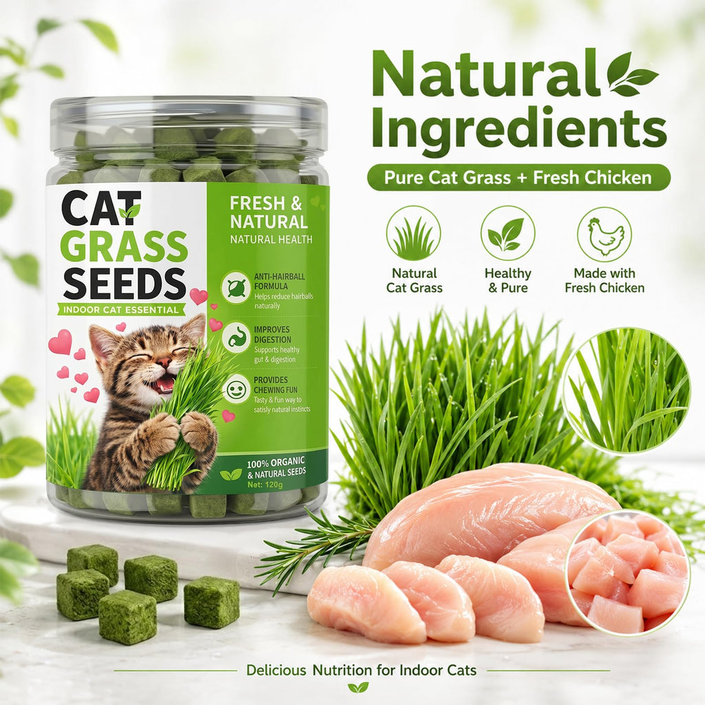 Cat Grass for Indoor Cats W1384