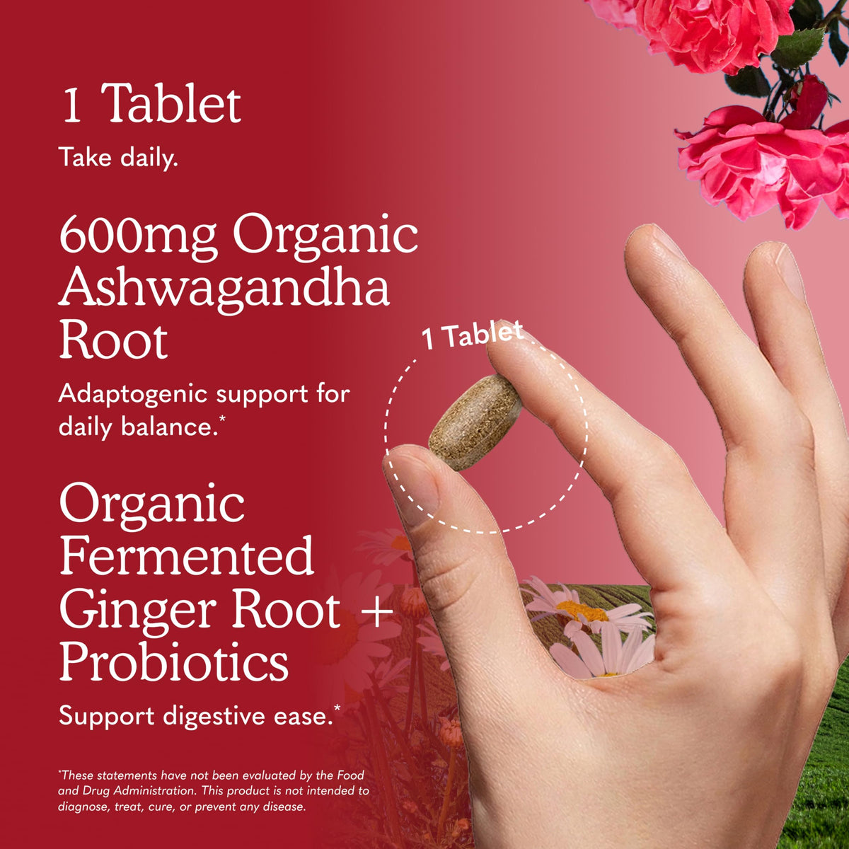 Organic Ashwagandha with Probiotics & Ginger O2040