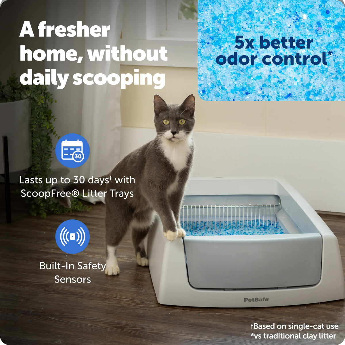 Self-Cleaning Litter Box Z6060