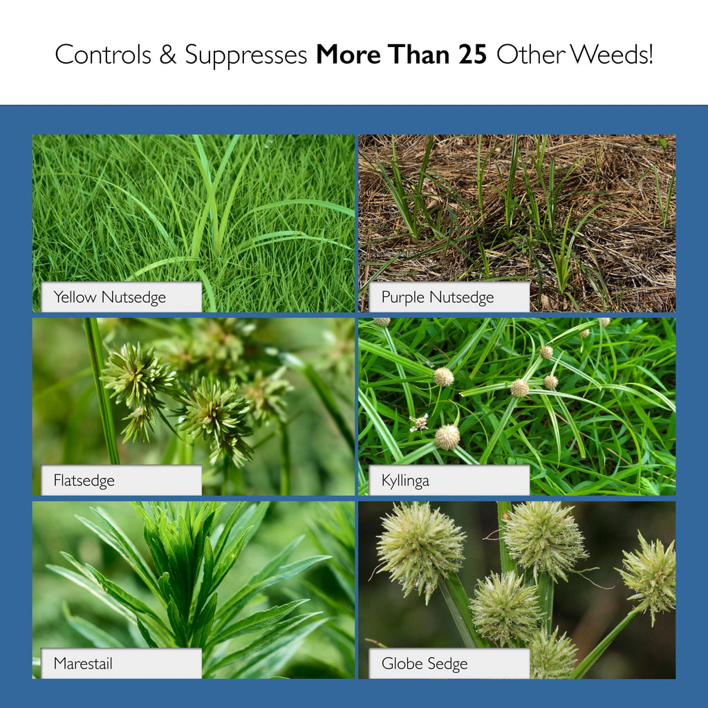 13.5 Grams Nutsedge Control J95385