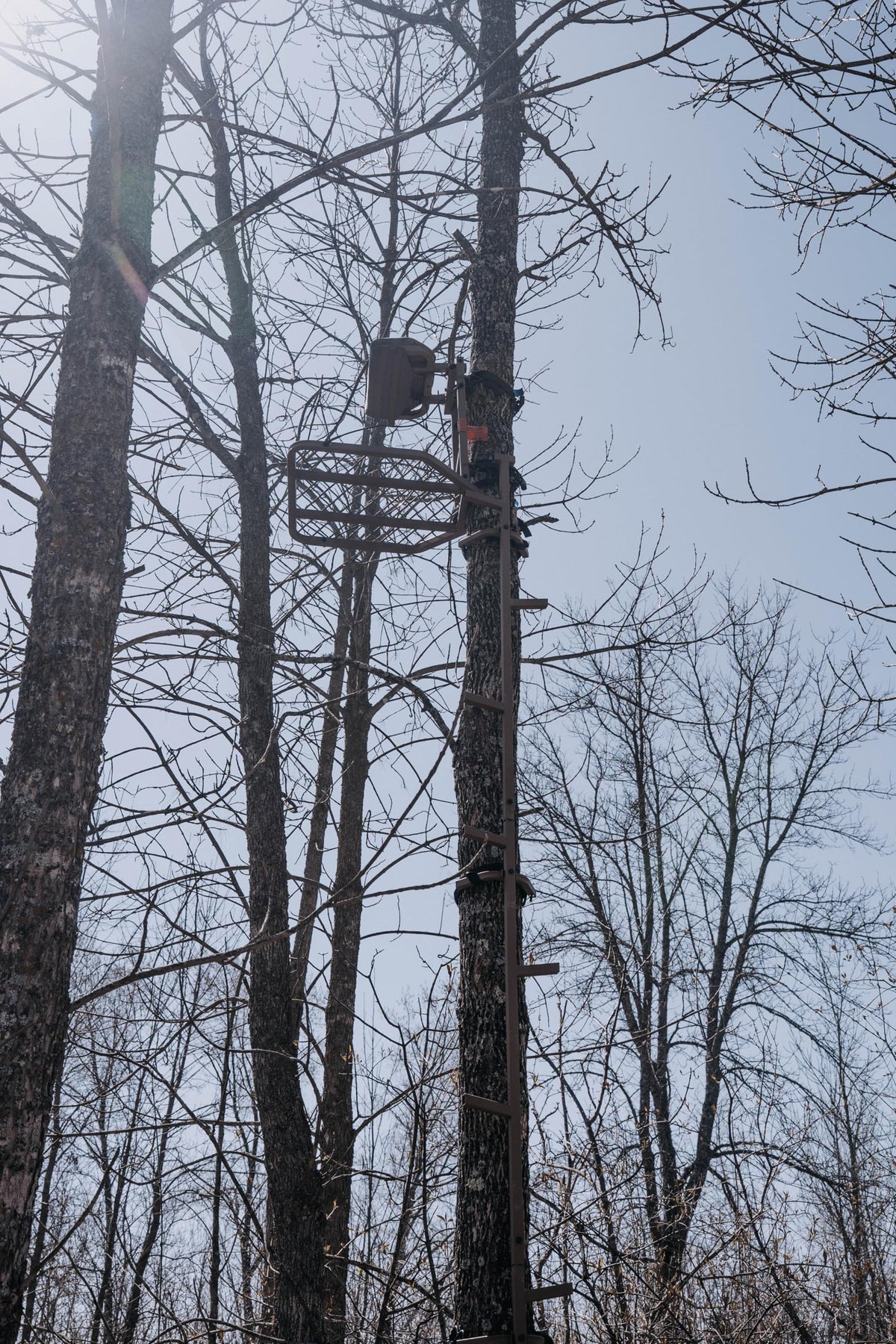 16 FT Steel Treestand Climbing Sticks L326