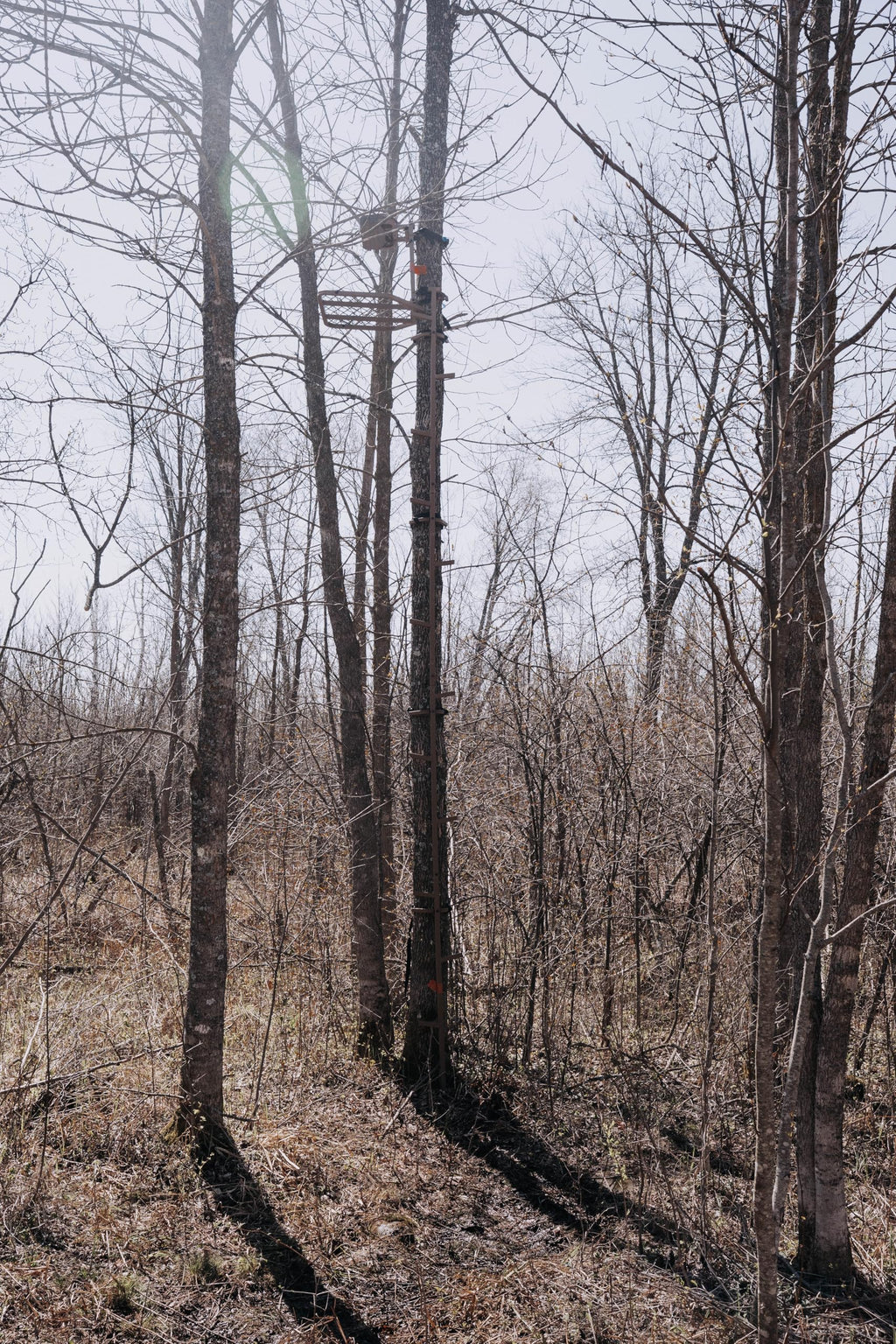 16 FT Steel Treestand Climbing Sticks L326