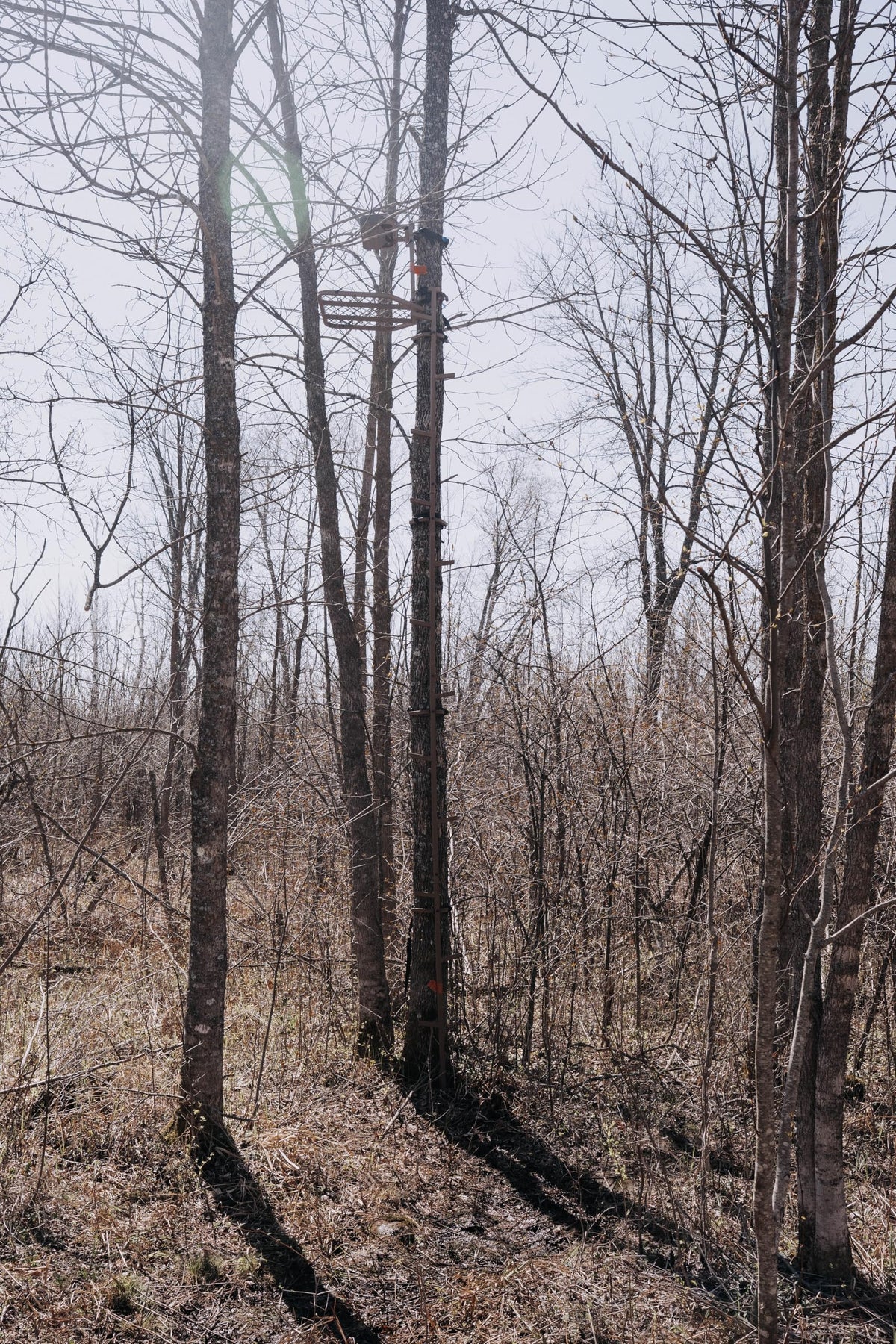 16 FT Steel Treestand Climbing Sticks L326